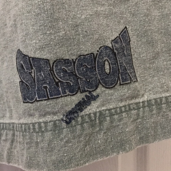 Authentic Sportwear Sasson shorts - Picture 3 of 8